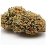 Шишки AK47 (Гидропоника, Бошка) VHQ в Краснодаре Шишки AK47 (Гидропоника, Бошка) VHQ в Краснодаре